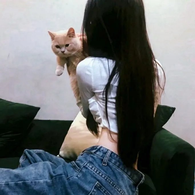 妙贼追凶